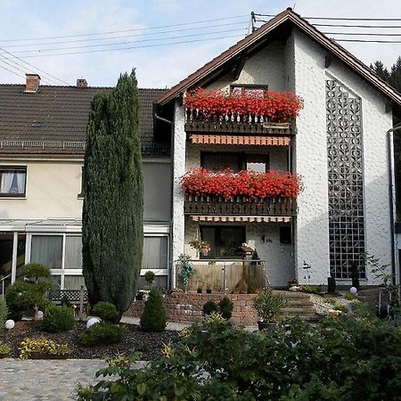 Ferienwohnungen Haus Waltraud 施泰因维森 外观 照片