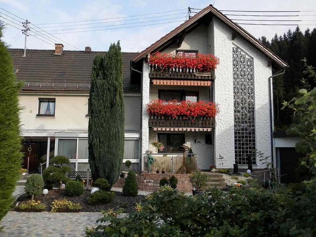 Ferienwohnungen Haus Waltraud 施泰因维森 外观 照片